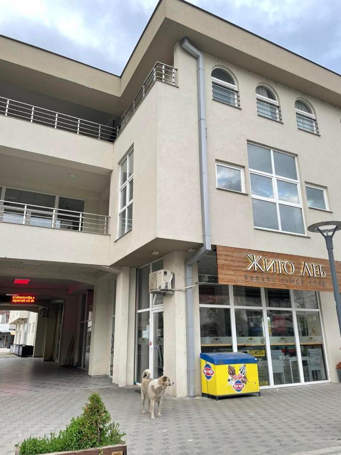 Appartement Center *